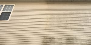 Siding Cleaning