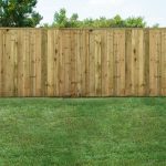 Fence Cleaning