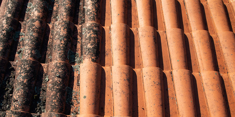 Why Professional Roof Cleaning Is More Effective