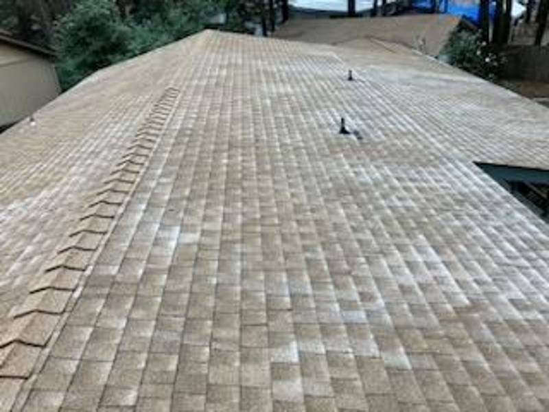Roof After