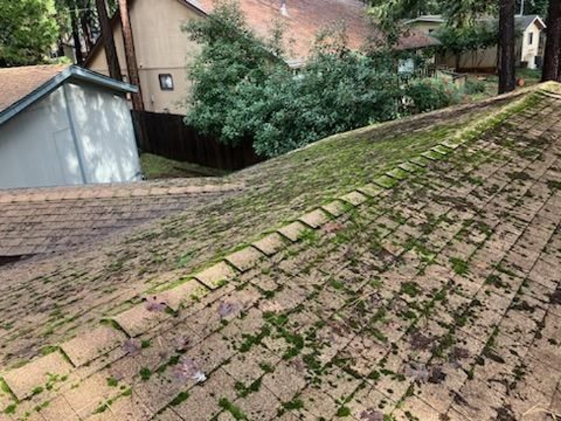 Roof Before
