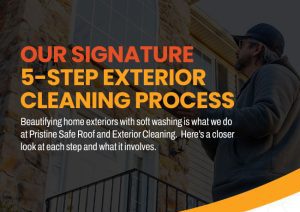 Our Signature 5-Step Exterior Cleaning Process
