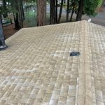 Roof Washing