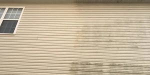 Why It’s Best to Leave the Siding Cleaning to the Professionals