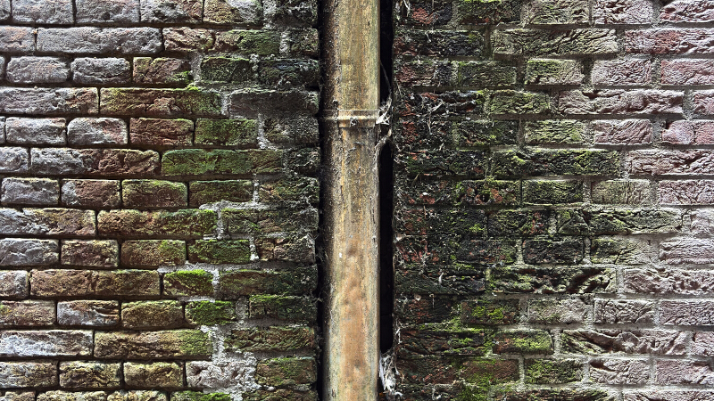 What You Need to Need to Know About Brick Cleaning