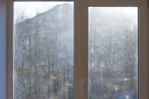 What You Should Know about Our Commercial Window Washing Services